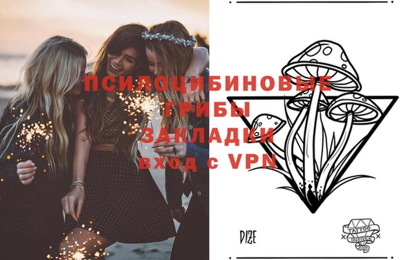 MESCALINE Аркадак