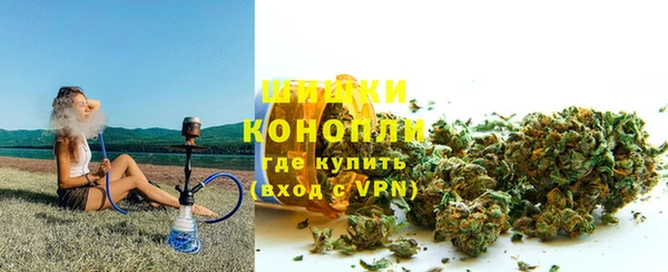 прущие грибы Арсеньев